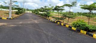 Project Image Project Image