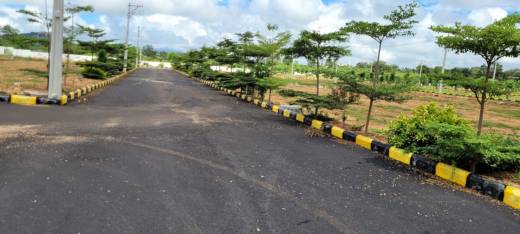 treasure-county Elevation Elevation