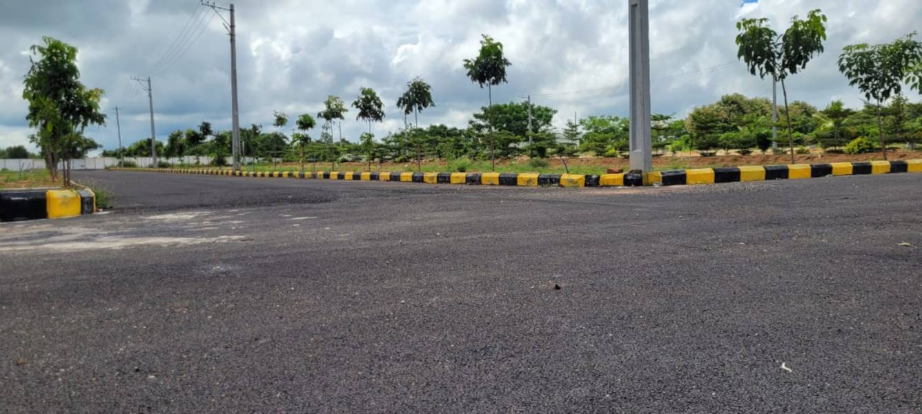  treasure county Plot