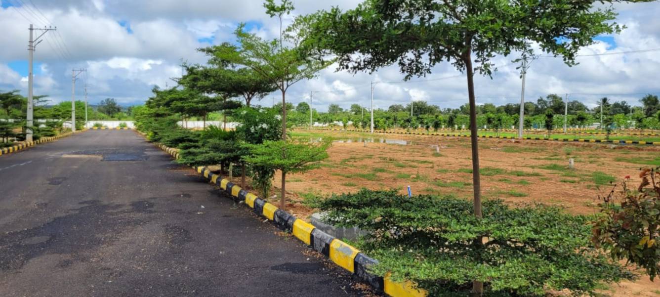  treasure county Plot