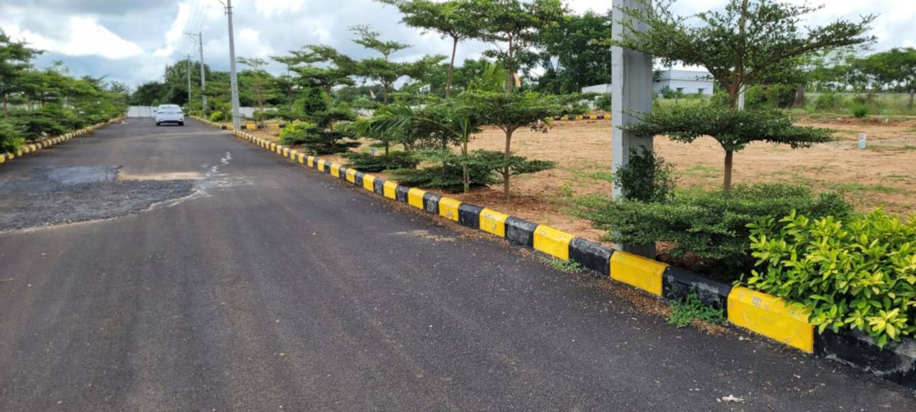  treasure county Plot