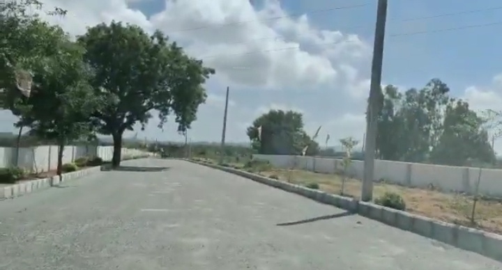  treasure county Plot