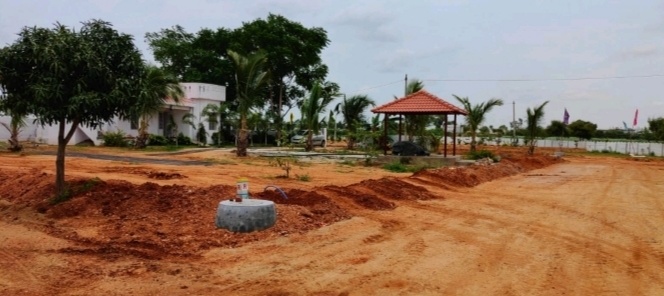  treasure county Plot