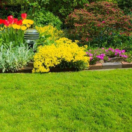  apna-ghar-phase-ii-nx Flower Garden