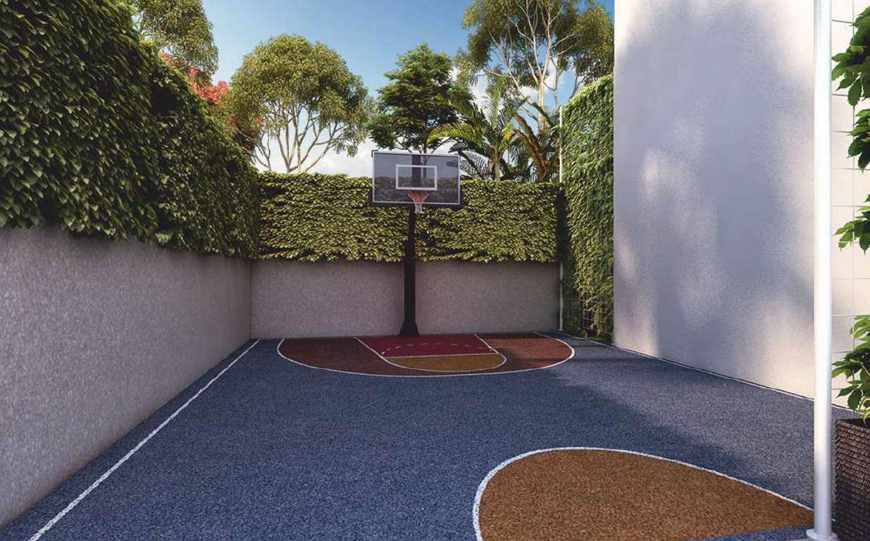  garden wood Basketball Court