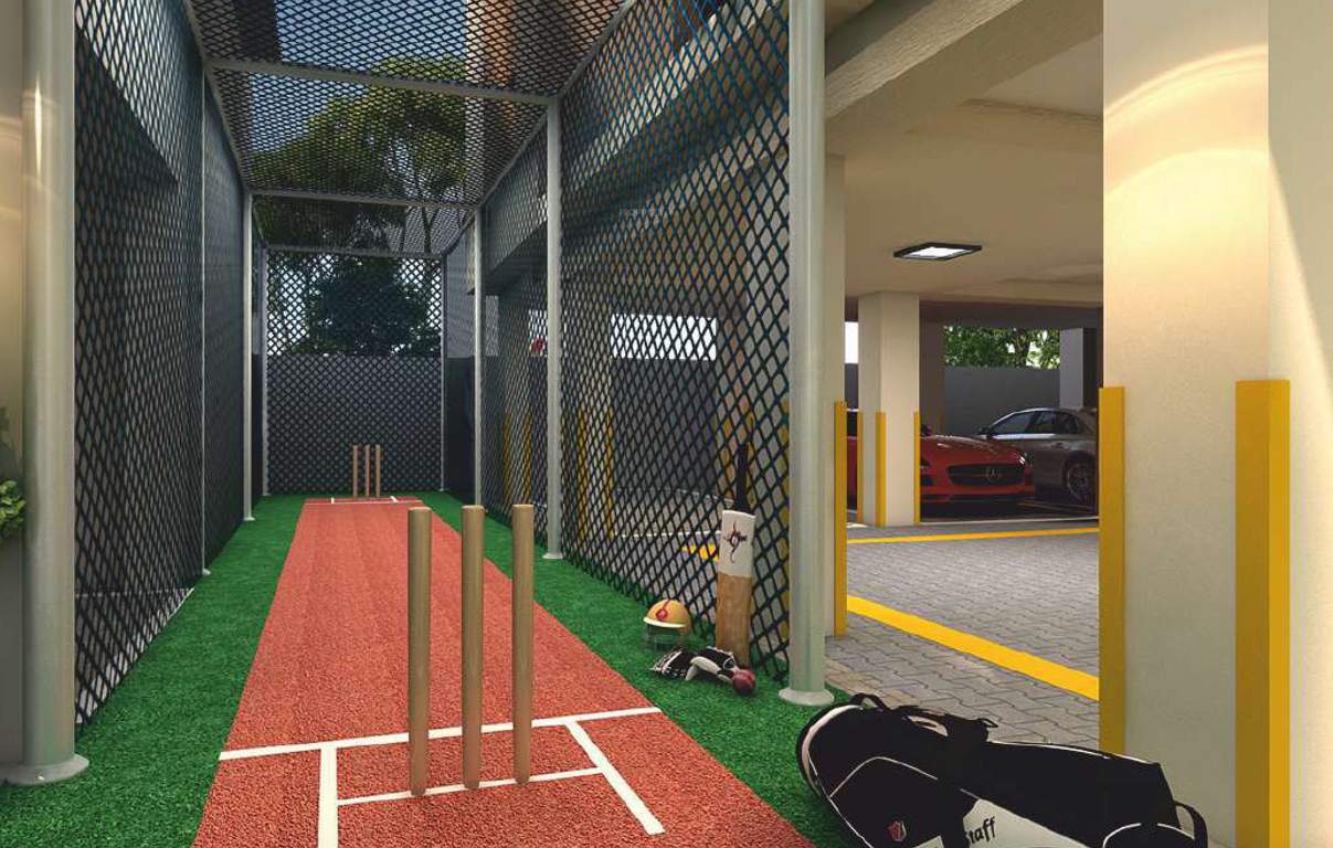  garden wood Cricket Pitch