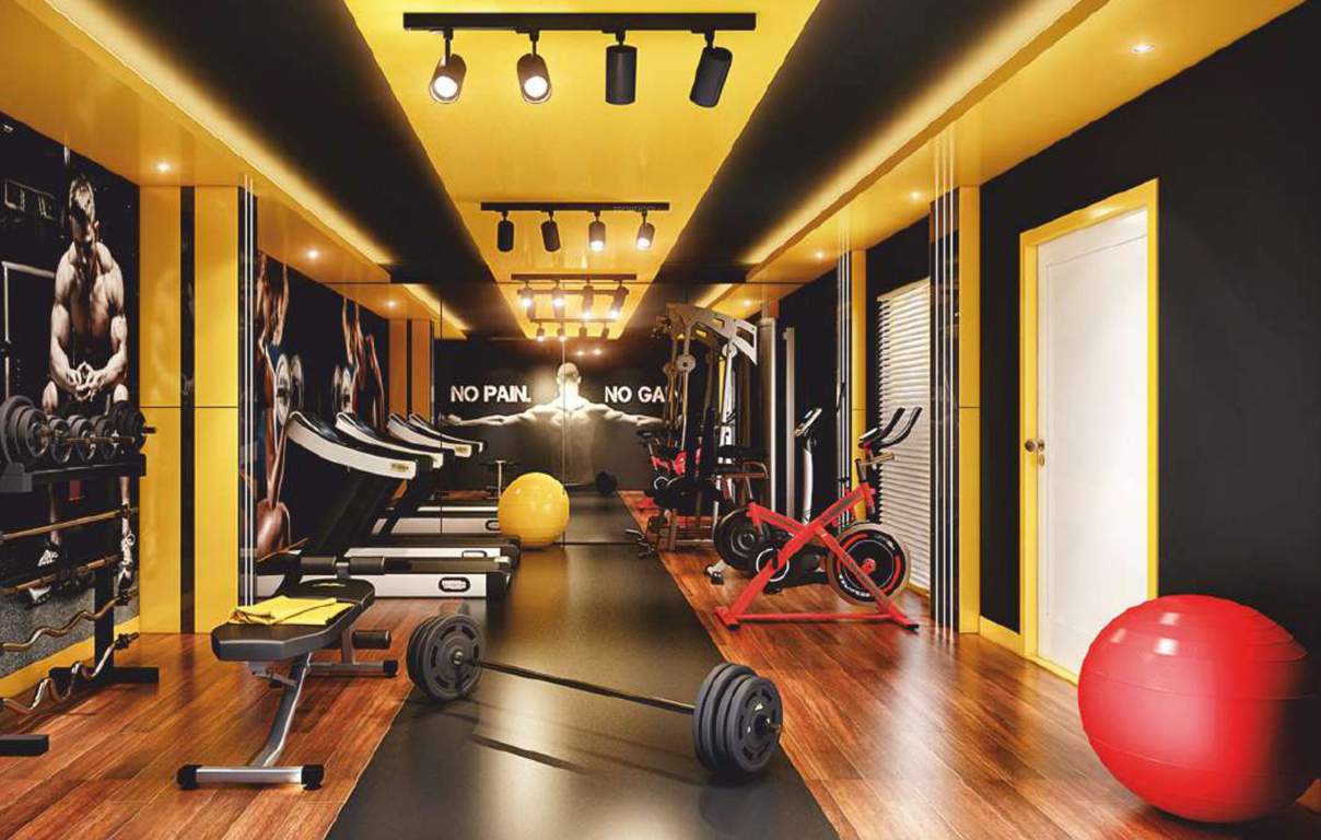  garden wood Gymnasium