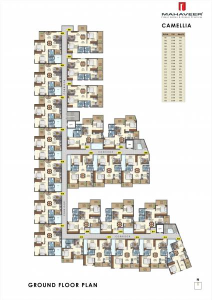  camelia Mahaveer Camelia Cluster Plan