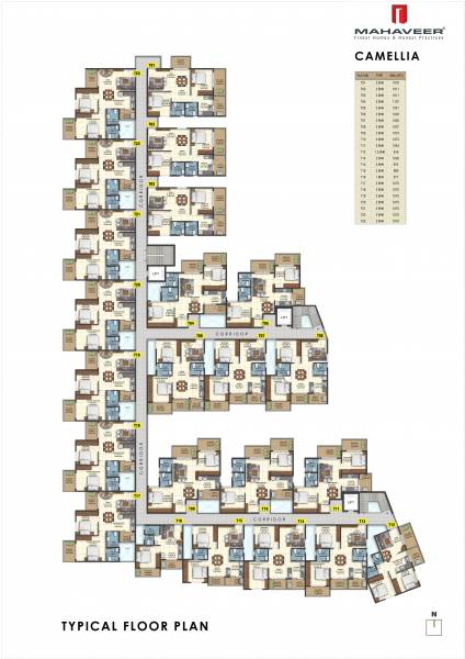  camelia Mahaveer Camelia Cluster Plan