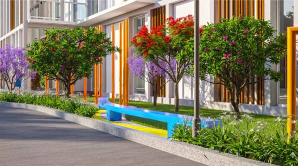 Landscape Garden and Tree Planting oak-tree Landscape Garden and Tree Planting