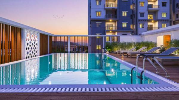 Swimming Pool oak-tree Swimming Pool