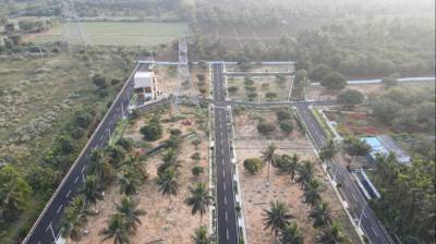  sai-gardenia Elevation