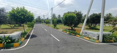  sai-gardenia Internal Roads