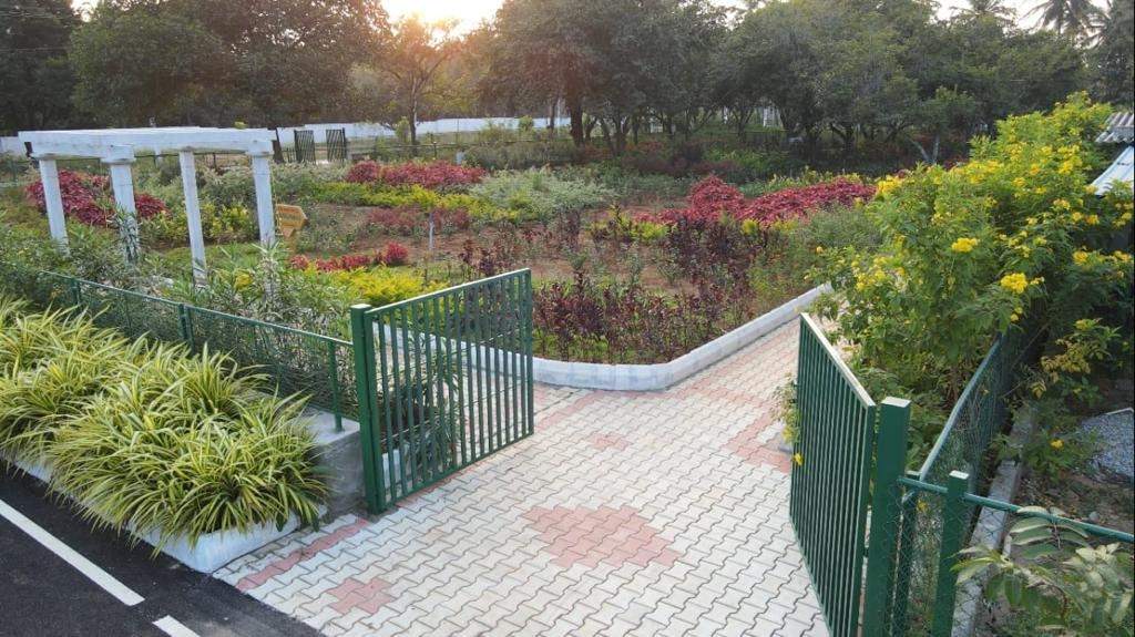  sai gardenia Landscape Garden and Tree Planting