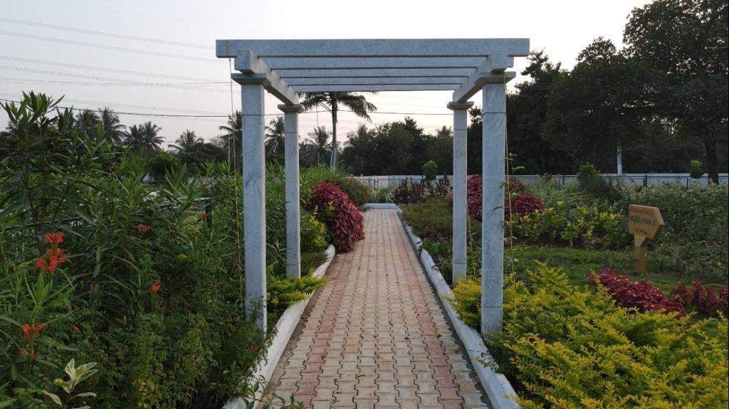  sai gardenia Landscape Garden and Tree Planting