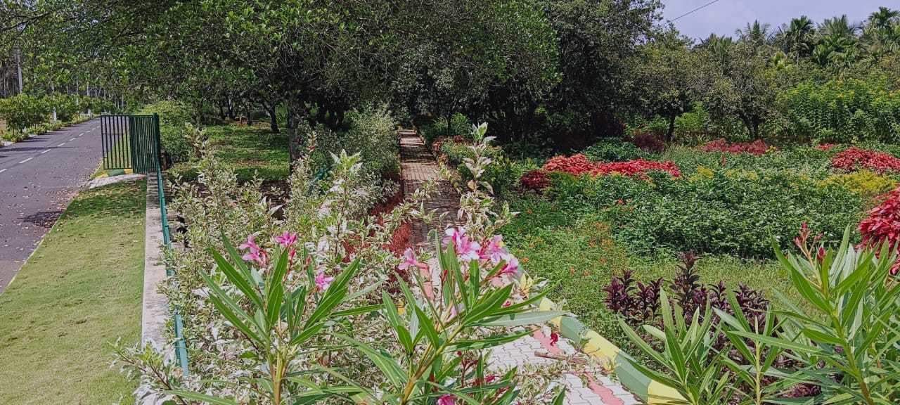  sai gardenia Landscape Garden and Tree Planting