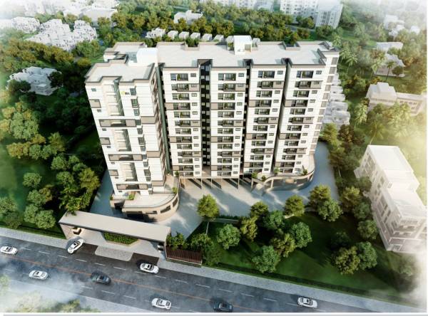 Elevation harmony Elevation