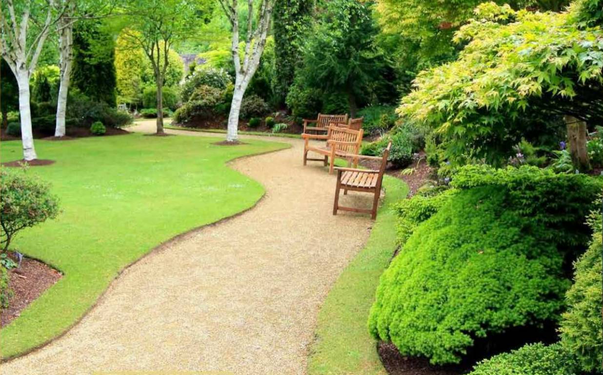  regalia phase 2 Senior Citizen Sitout