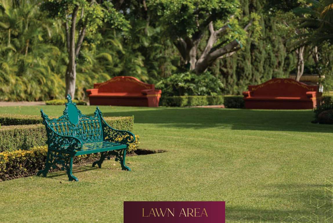  trinity moksh Party Lawn