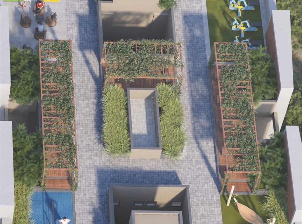  palm town Senior Citizen Sitout