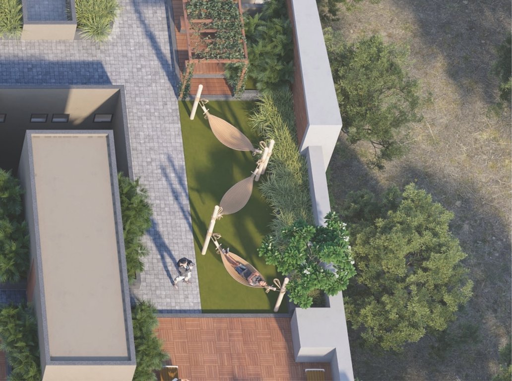  palm town Senior Citizen Sitout