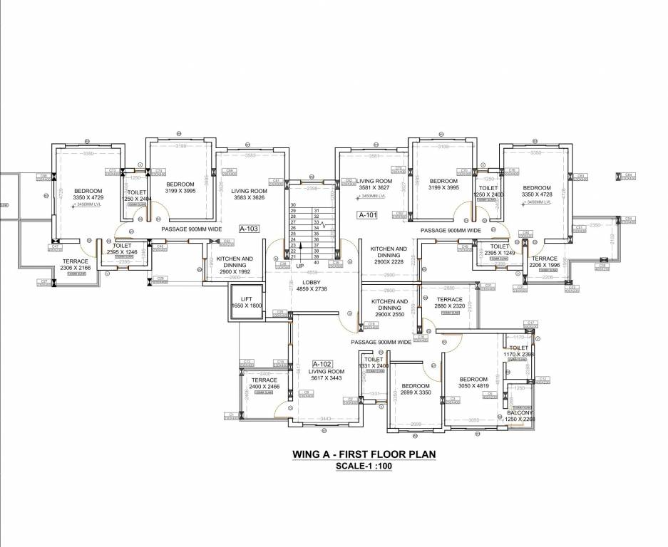  amara living Cluster Plan