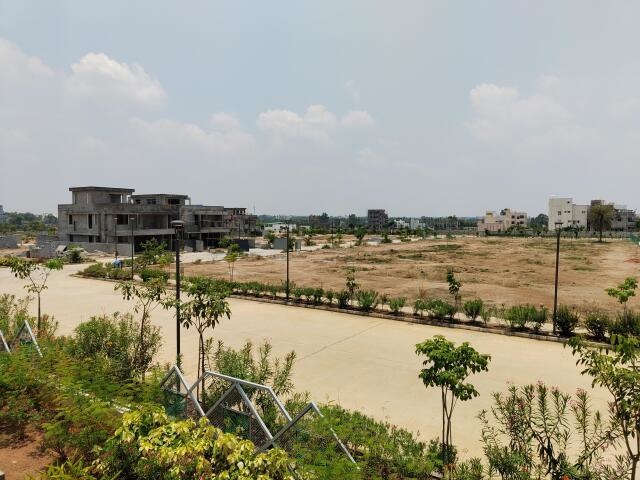 Aria Greens By Vars And Kens