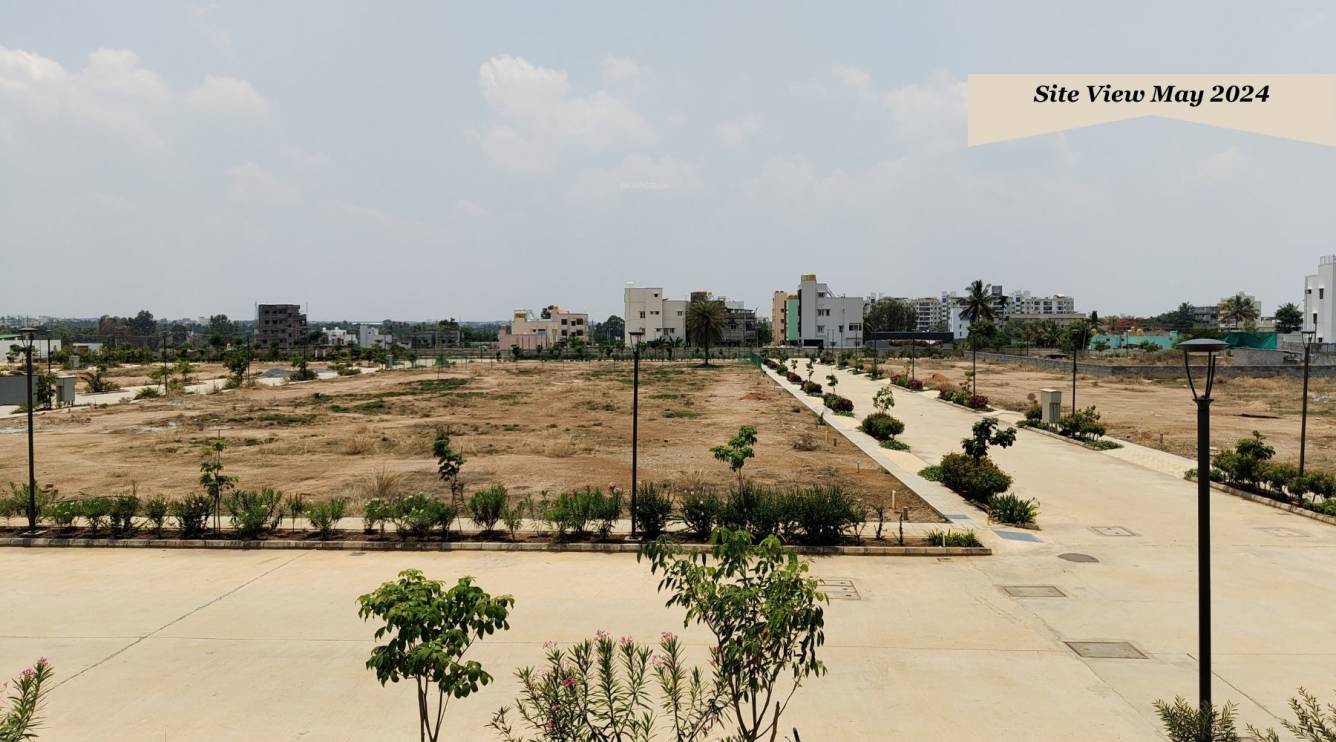 Aria Greens By Vars And Kens