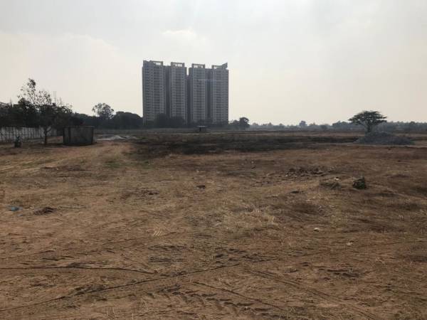  aria-greens-by-vars-and-kens Elevation