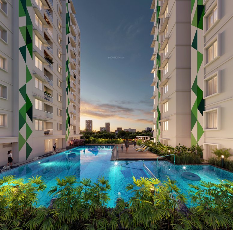  macasa emerald Others