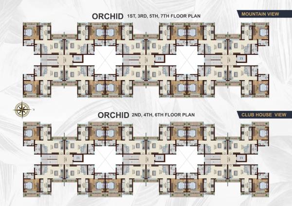  park-one-phase-i Orchid, D Wing Cluster Plan