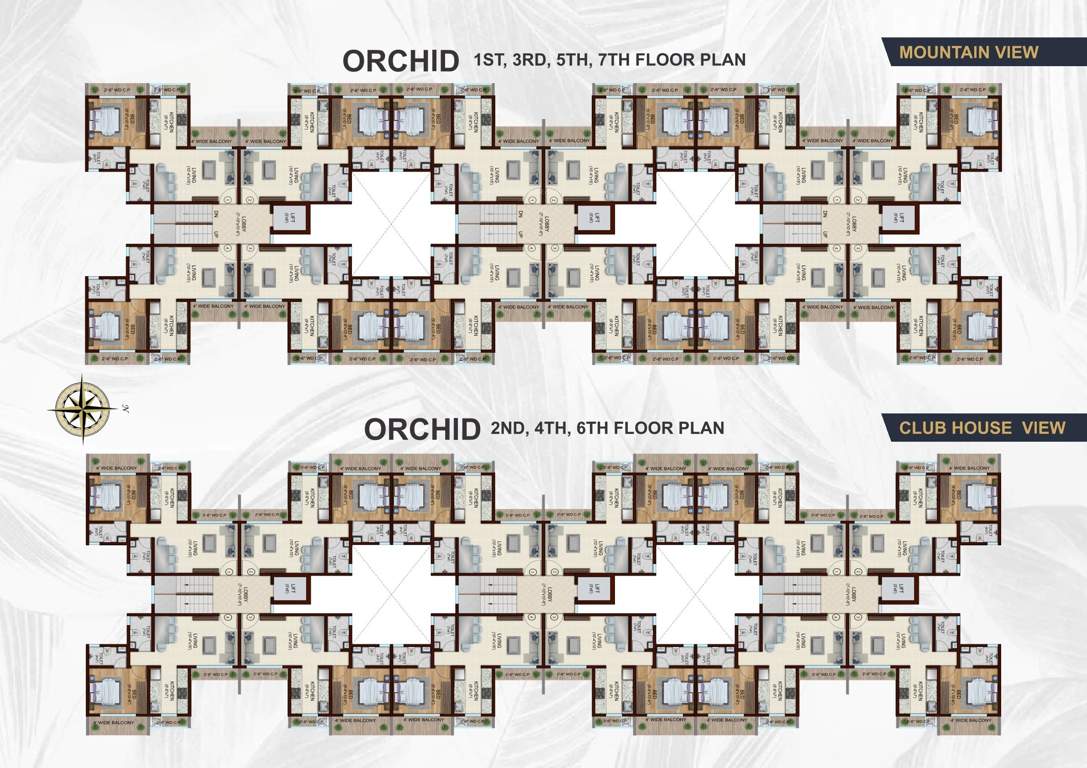  park one phase i Orchid, D Wing Cluster Plan