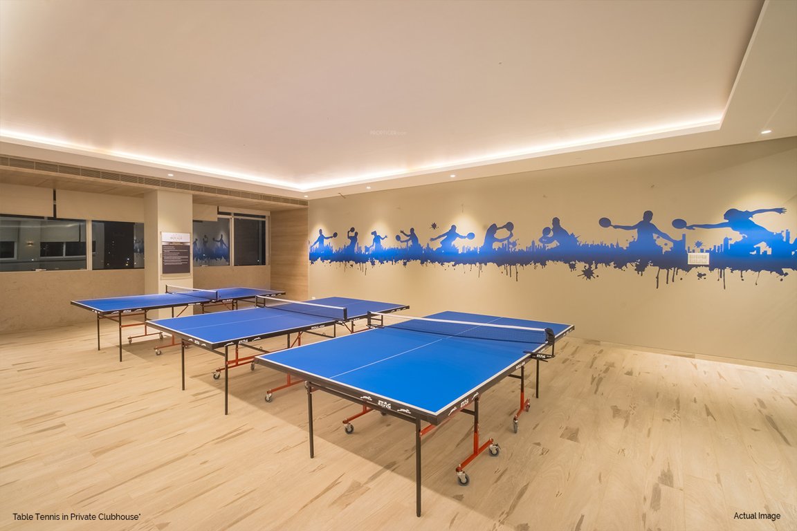  dosti planet north sector 3 Table Tennis