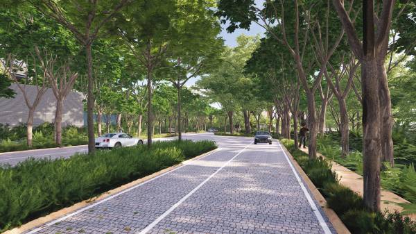  sanctuary Internal Roads