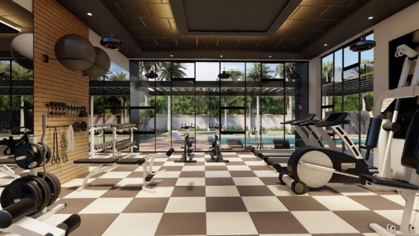  city aellysia i Gymnasium