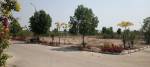 Plot gachibowli-paradise-phase-4 Plot