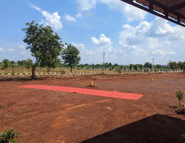  imperial-vision-city Elevation