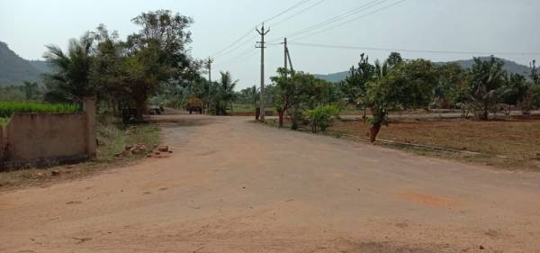 Internal Roads balaji-hill-county Internal Roads