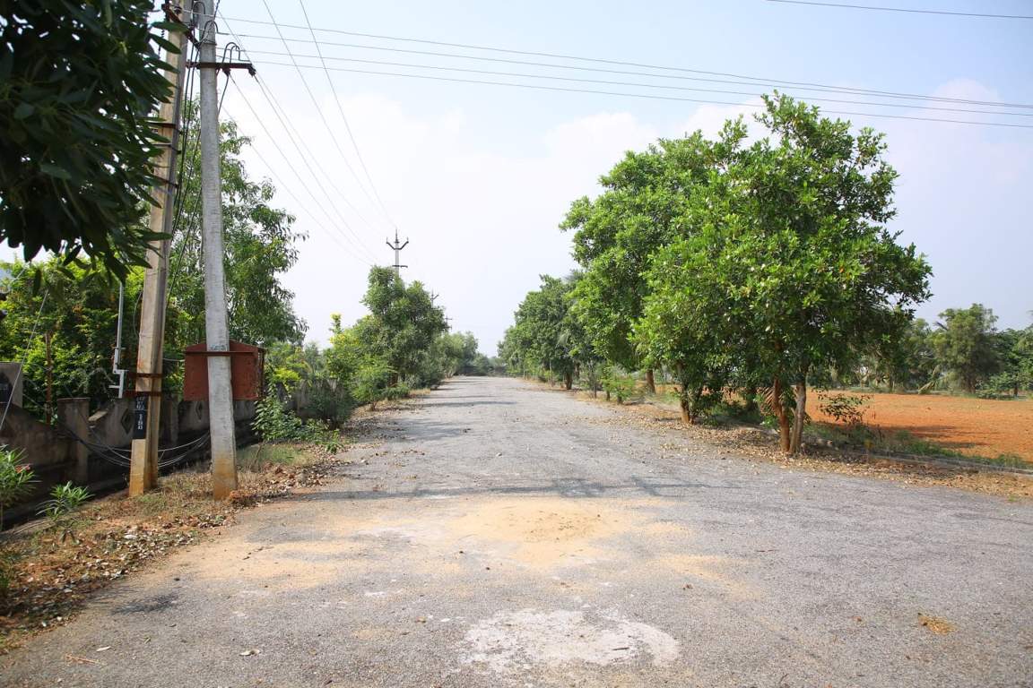  balaji hill county Internal Roads