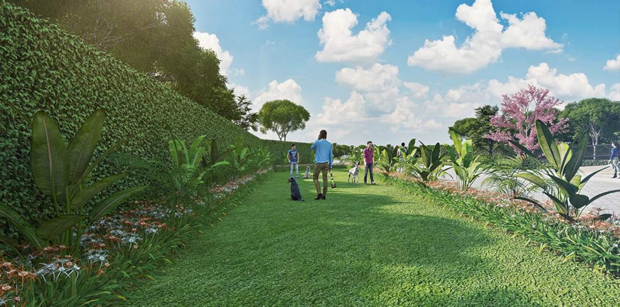  city 37d phase 2 Others