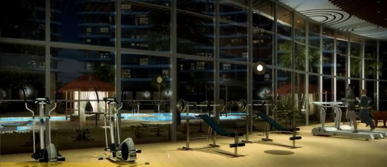  the amazonia Gymnasium