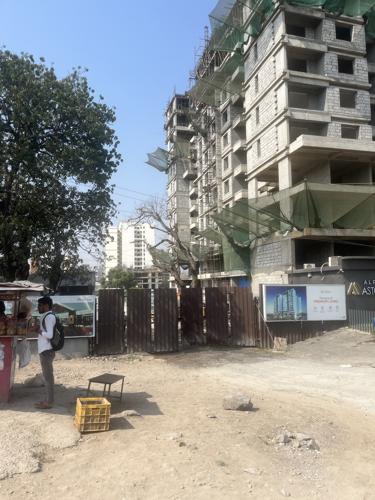  astonia Alpine Astonia A Wing Construction Status Apr-24