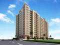 RCDC Associates Aura