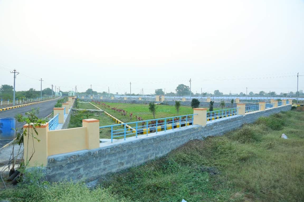  avani Plot