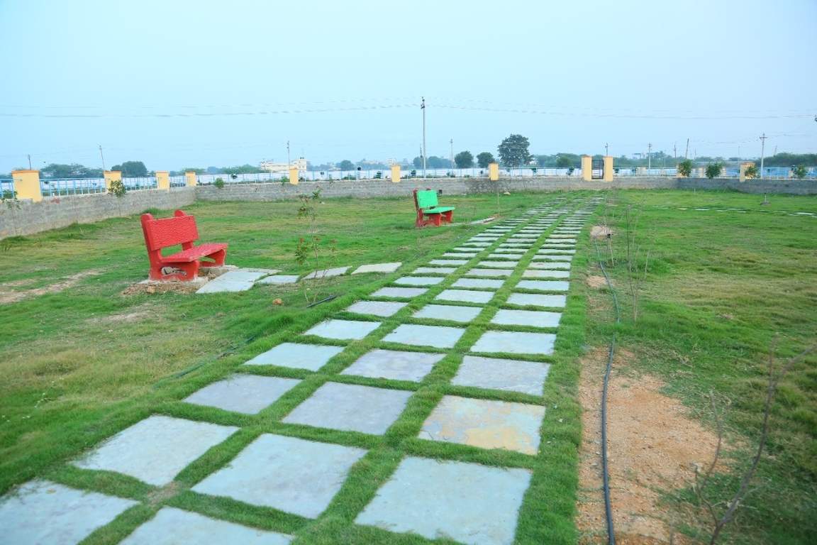  avani Plot
