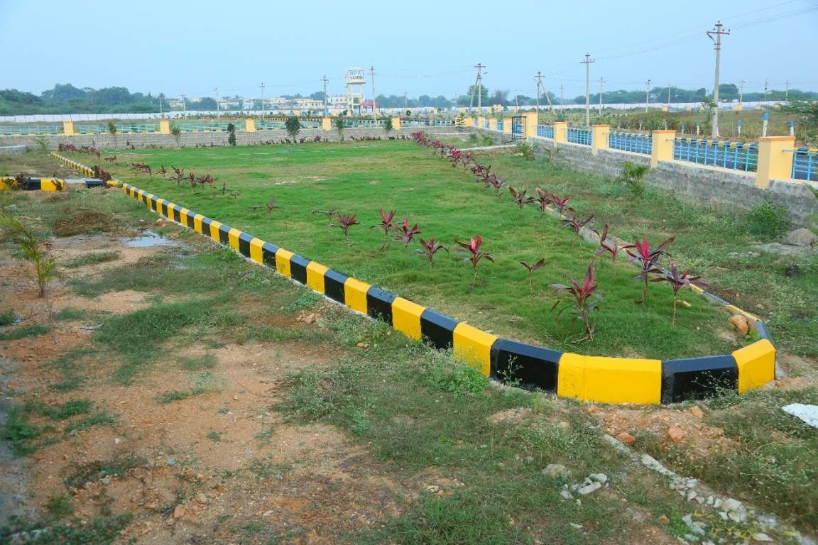  avani Plot