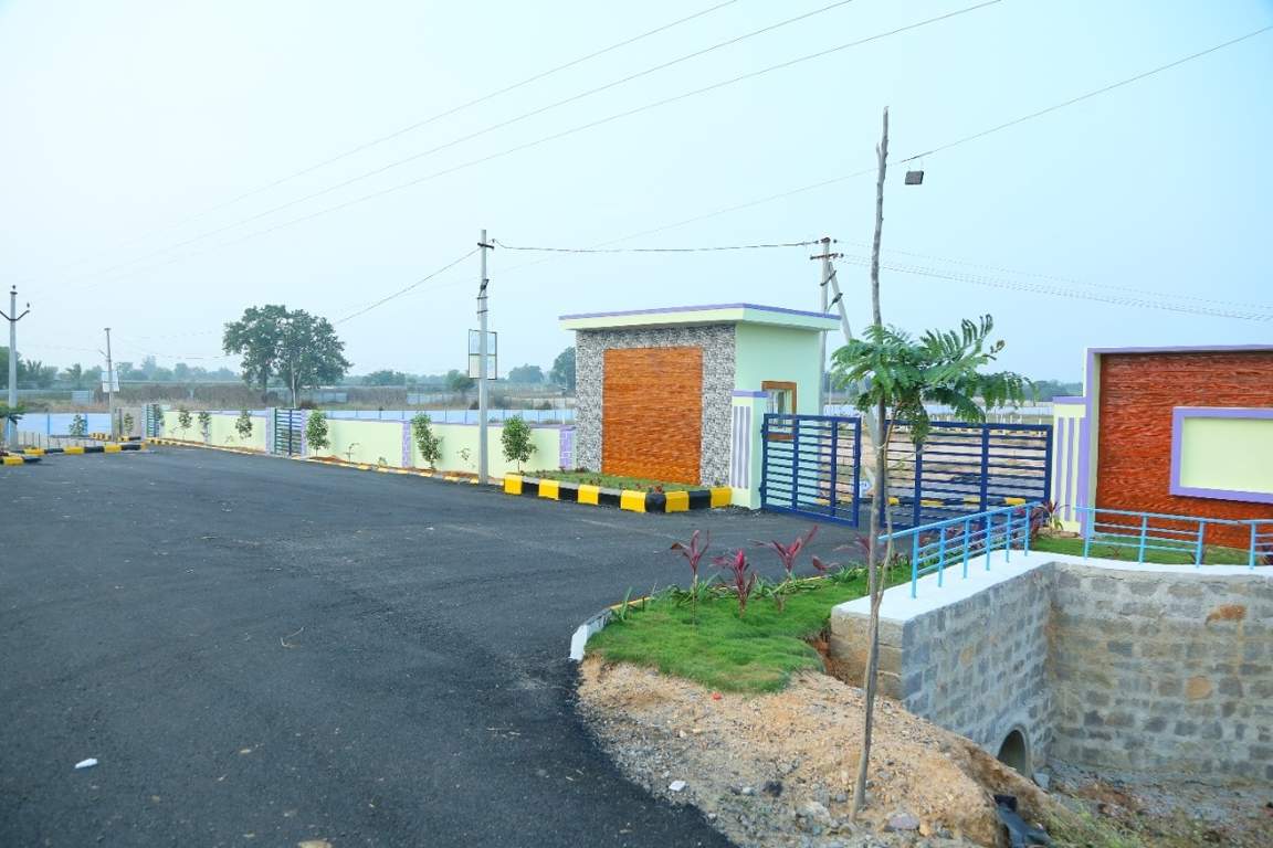  avani Plot