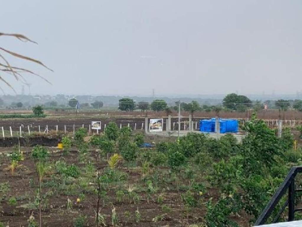  wood land Plot