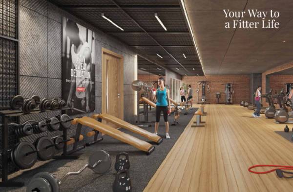  aura-waters Gymnasium