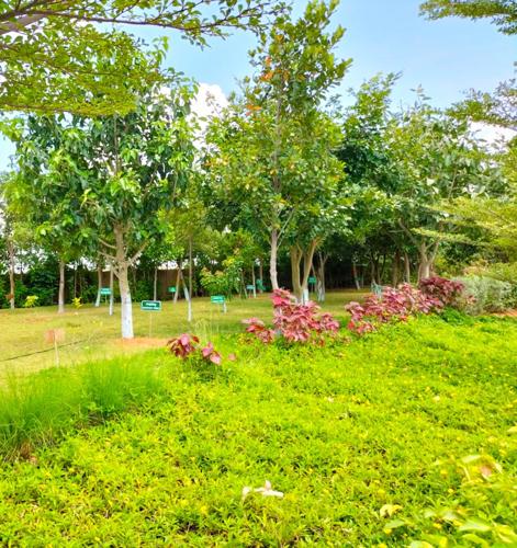  the-orchard Flower Garden